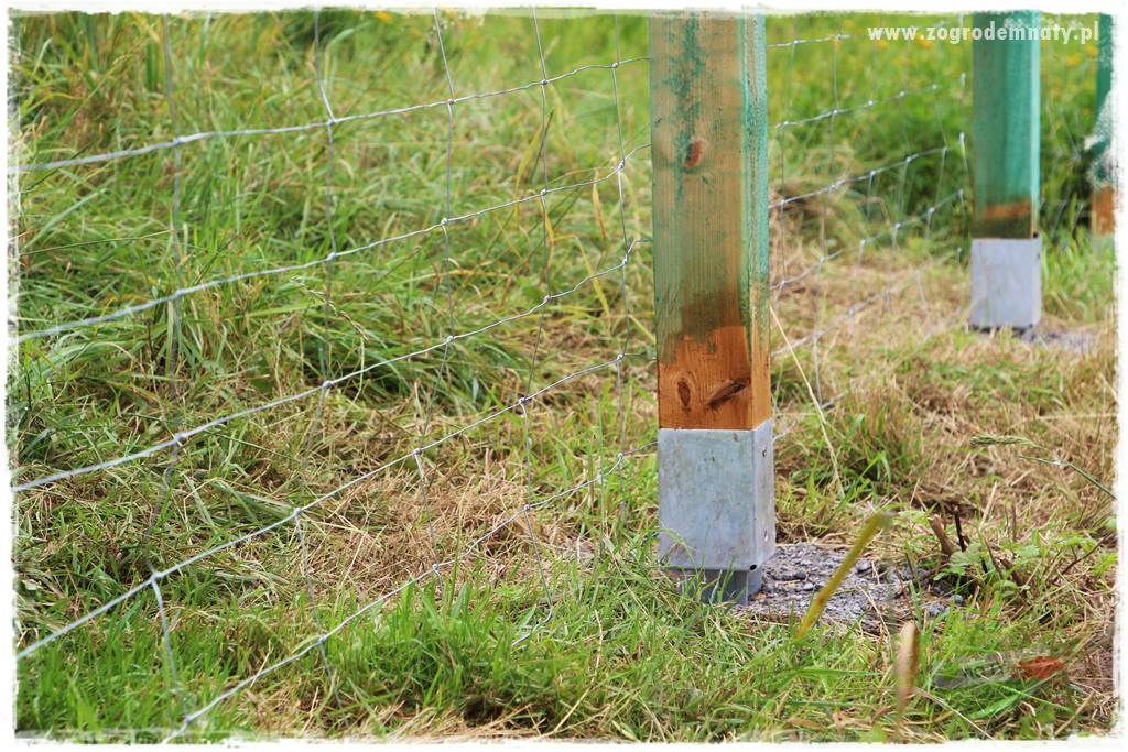 budowa ogrodzenia 76 budowa ogrodzenia 76