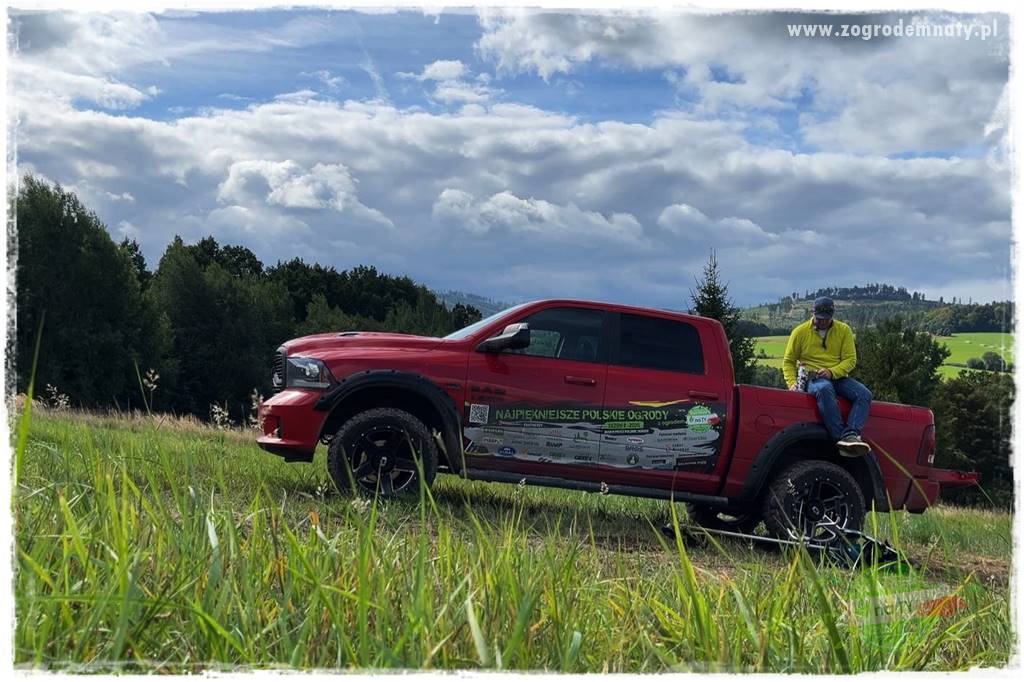 budowa ogrodzenia 79