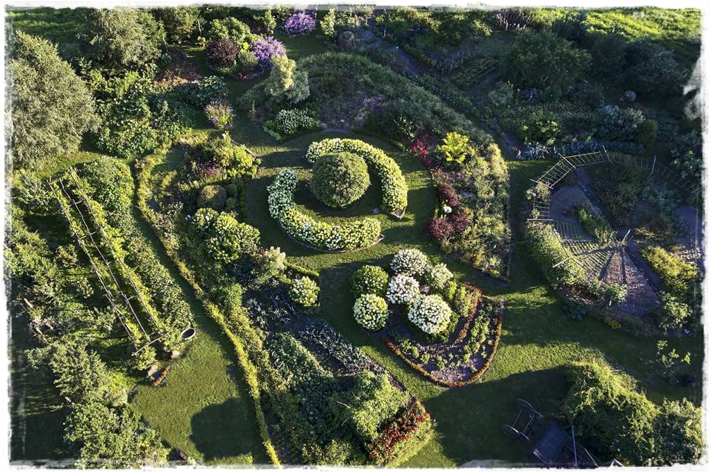 zioła w ogrodzie 11