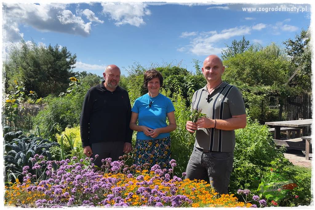 zioła w ogrodzie 12a