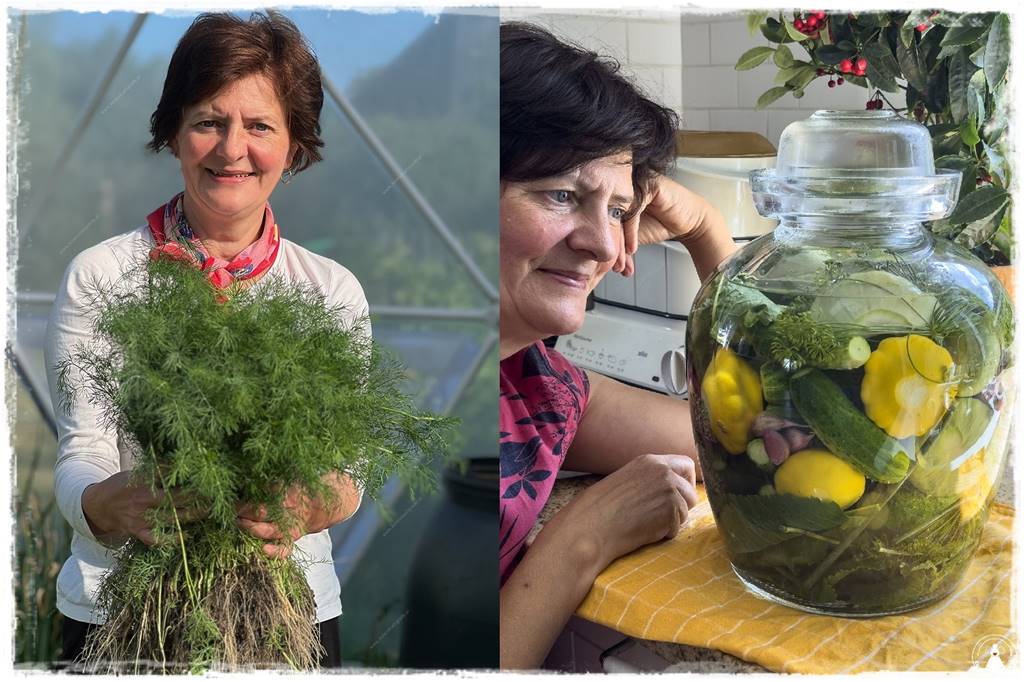 zioła w ogrodzie 17