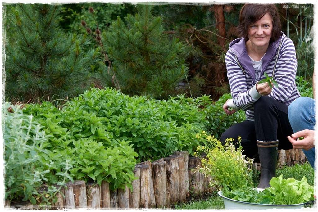 zioła w ogrodzie 20