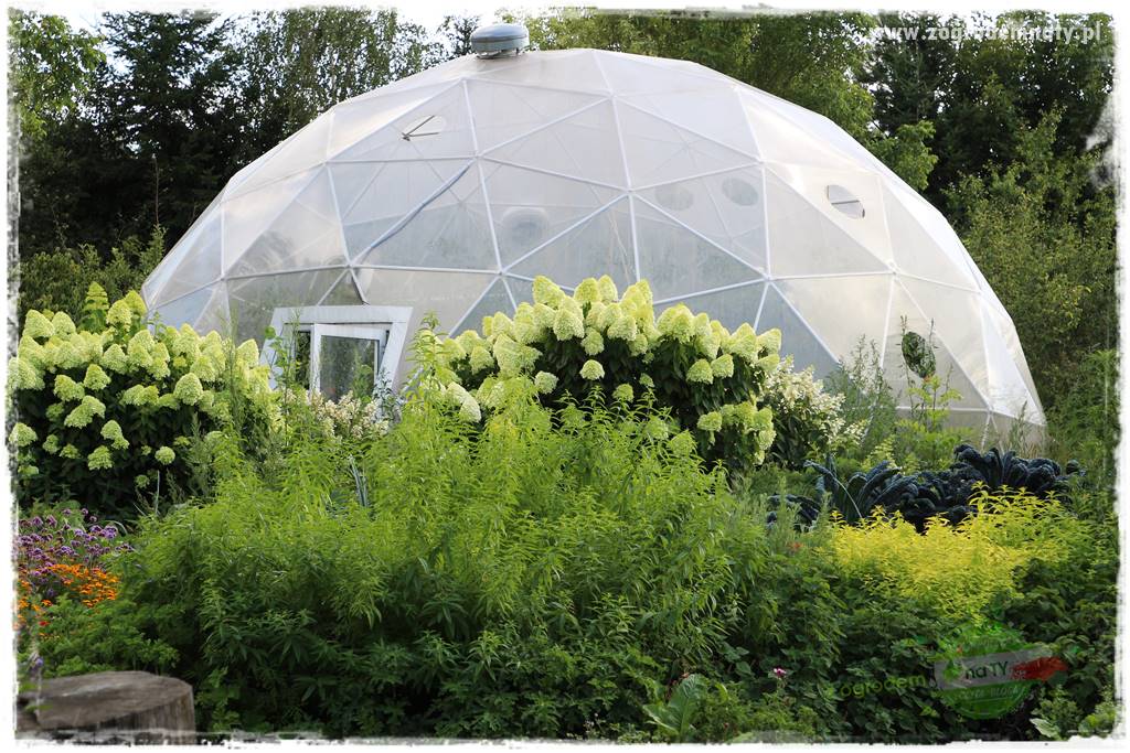 zioła w ogrodzie 28 zioła w ogrodzie 28