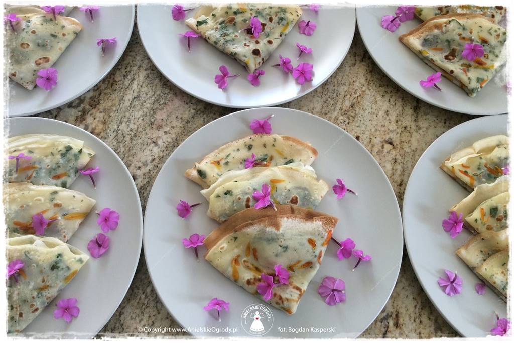 zioła w ogrodzie 4 zioła w ogrodzie 4