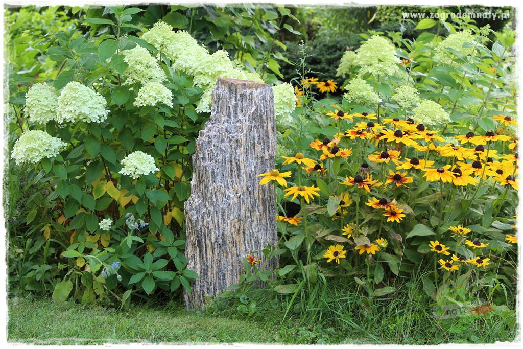Anielskie ogrody 106