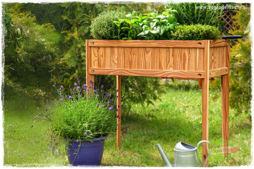 Anielskie ogrody 122