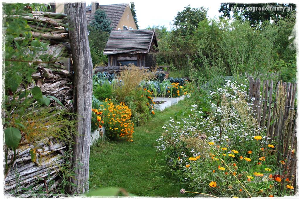 Anielskie ogrody 21 Anielskie ogrody 21