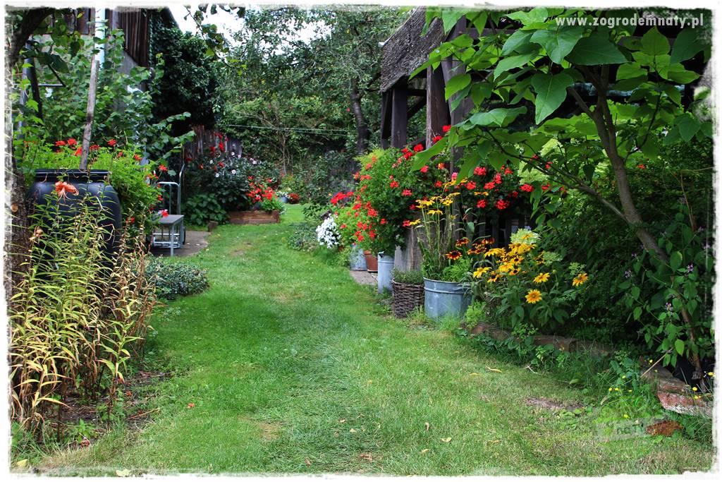 Anielskie ogrody 22 Anielskie ogrody 22