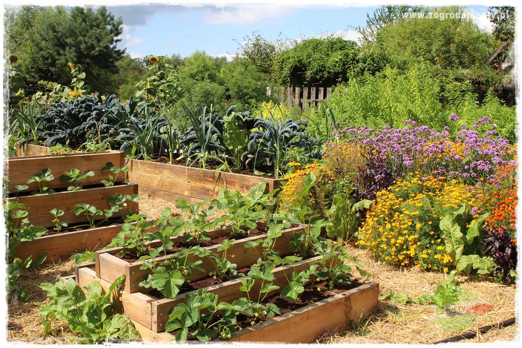 Anielskie ogrody 27 Anielskie ogrody 27