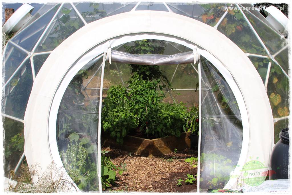 Anielskie ogrody 29 Anielskie ogrody 29