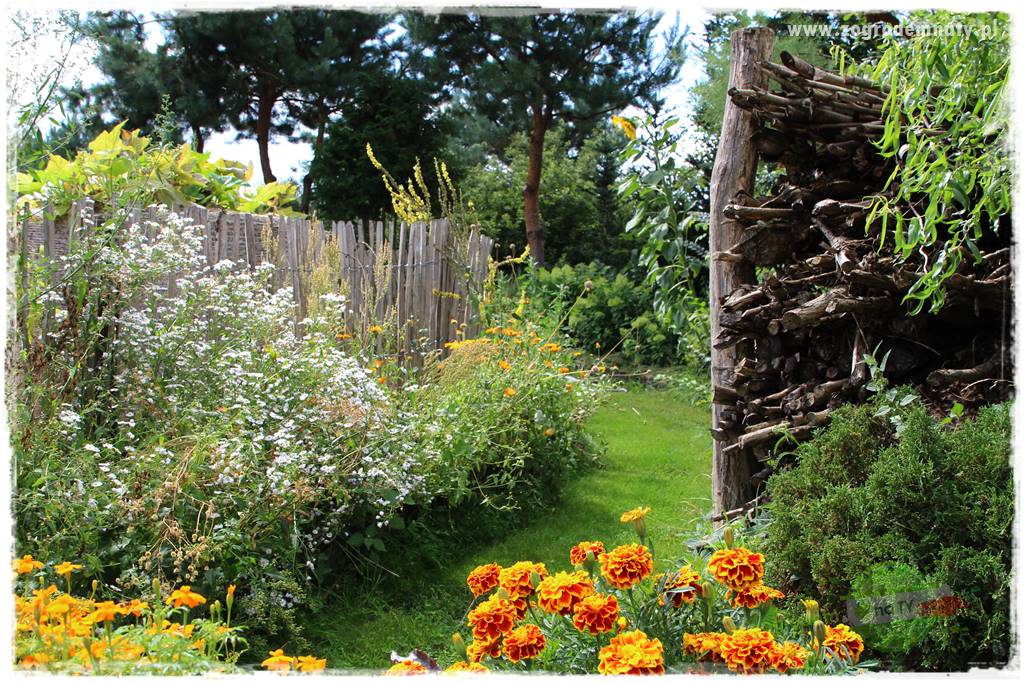 Anielskie ogrody 3 Anielskie ogrody 3