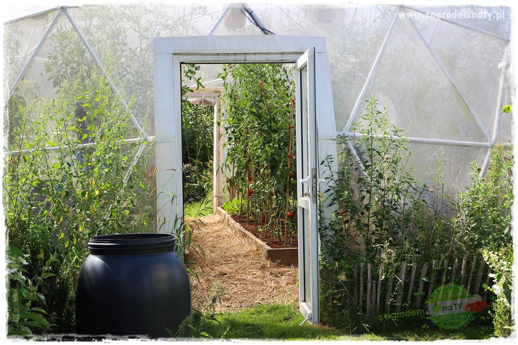 Anielskie ogrody 32 Anielskie ogrody 32