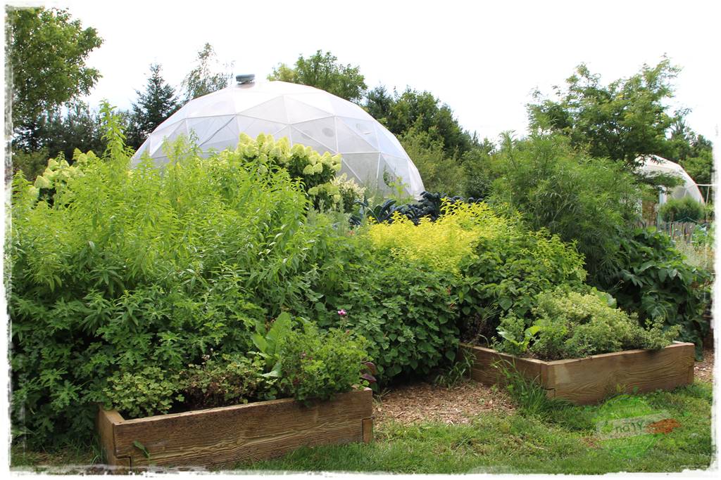 Anielskie ogrody 33 Anielskie ogrody 33