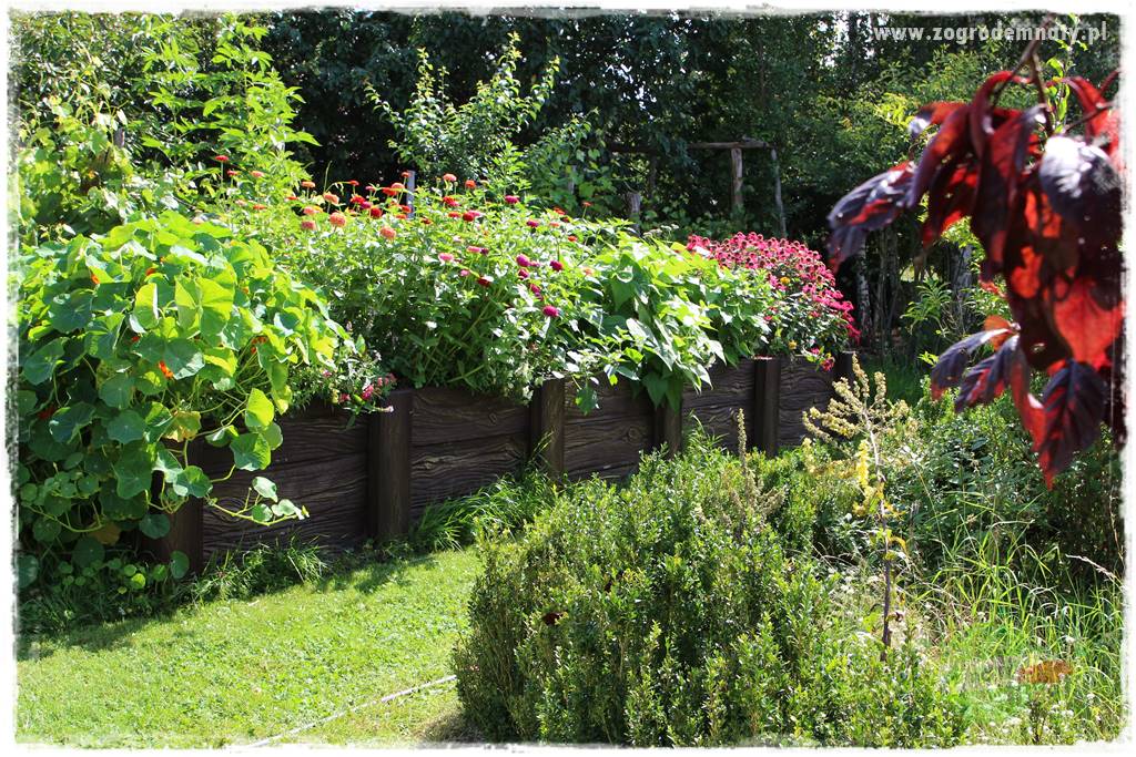 Anielskie ogrody 35 Anielskie ogrody 35