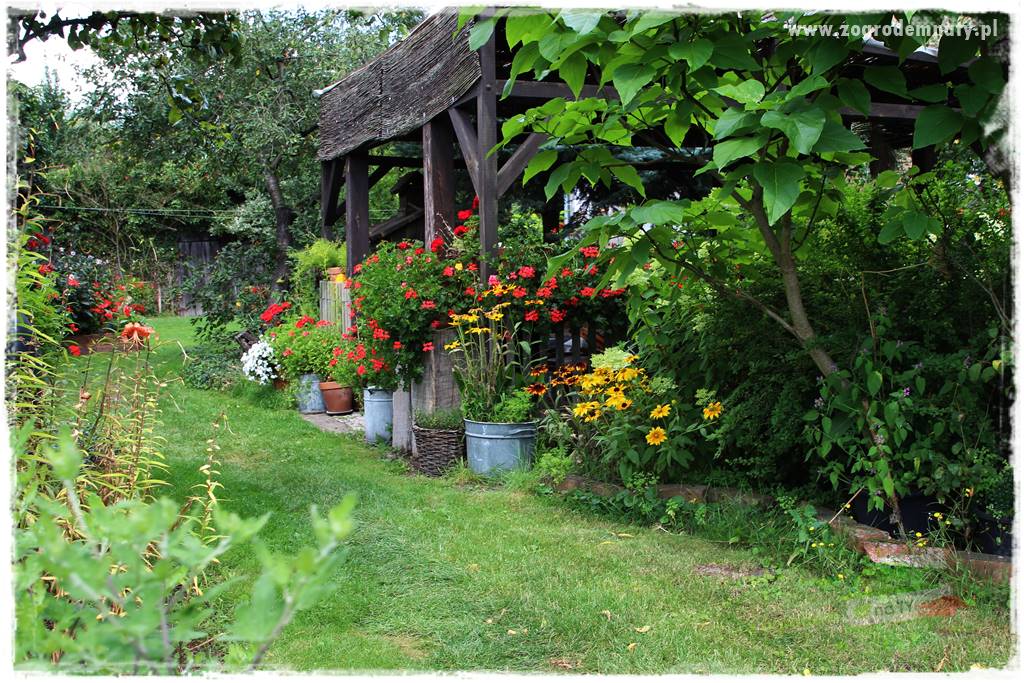 Anielskie ogrody 37 Anielskie ogrody 37
