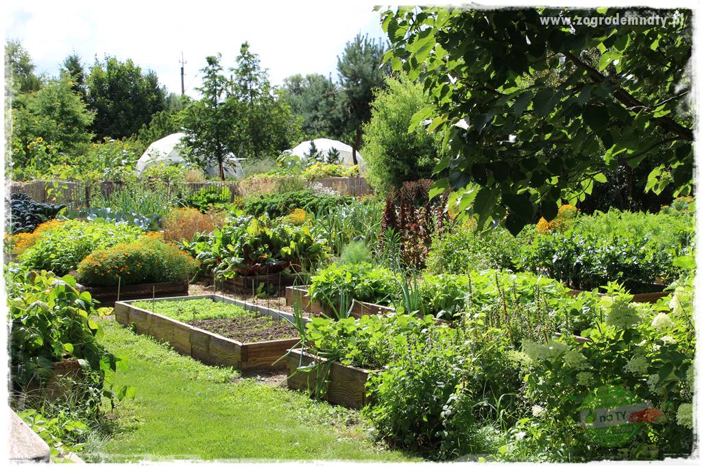 Anielskie ogrody 400 Anielskie ogrody 400