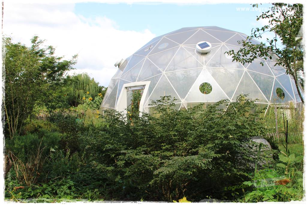 Anielskie ogrody 403 Anielskie ogrody 403