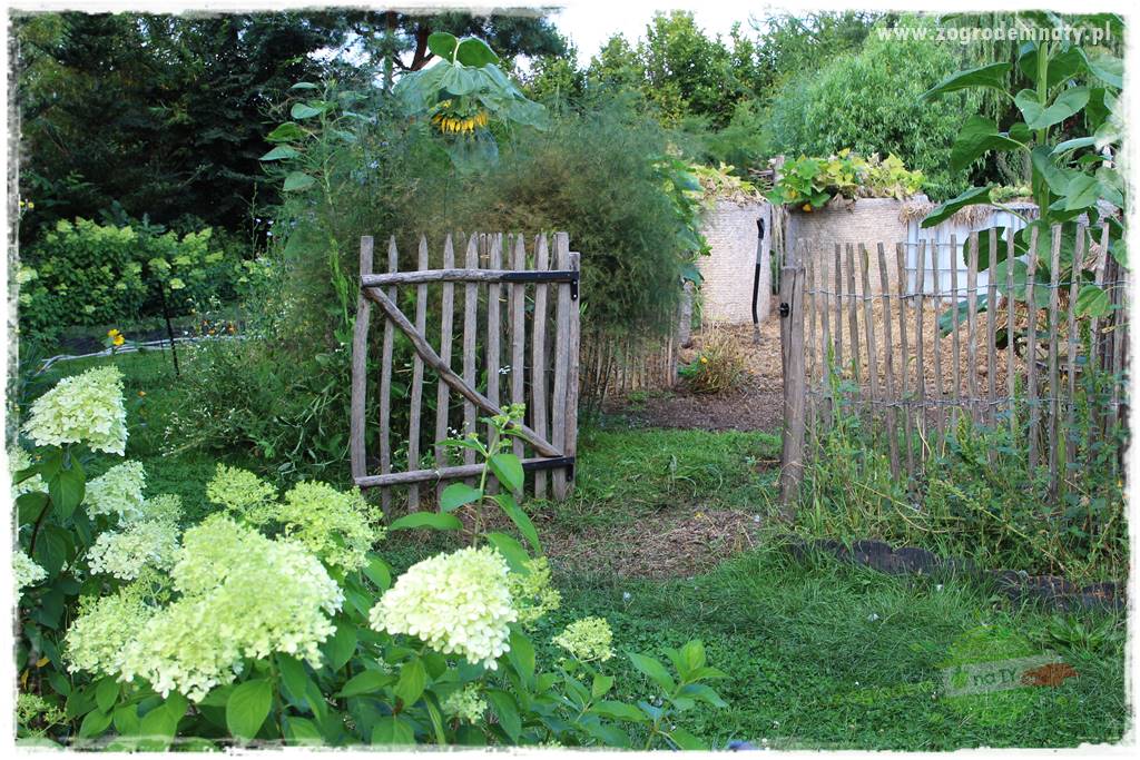 Anielskie ogrody 408 Anielskie ogrody 408