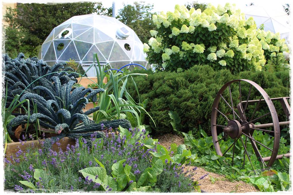 Anielskie ogrody 411 Anielskie ogrody 411