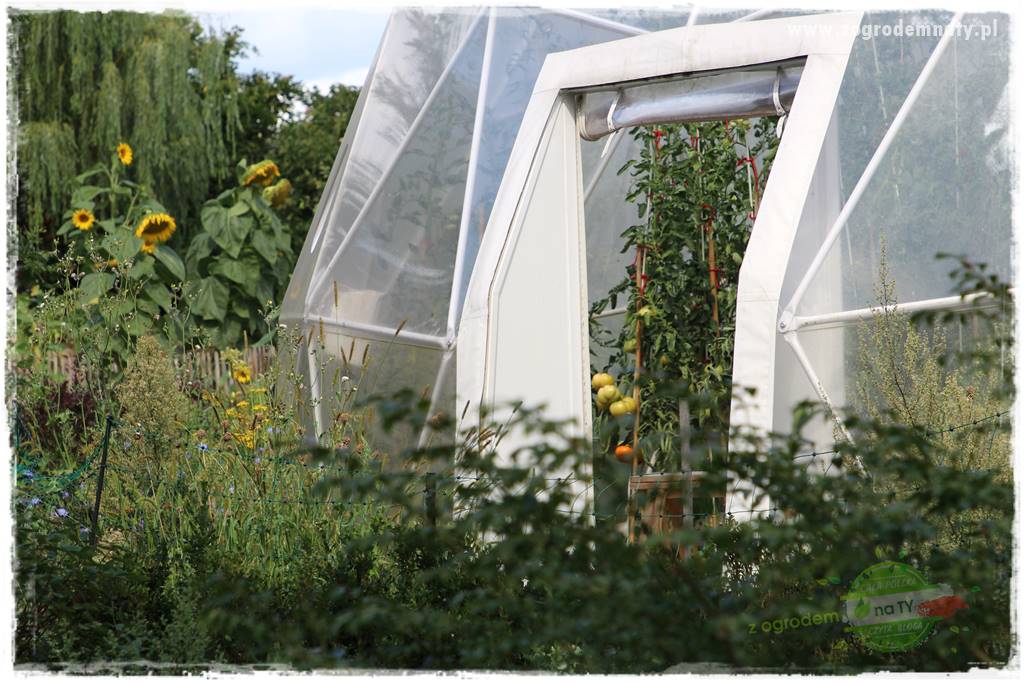 Anielskie ogrody 413 Anielskie ogrody 413