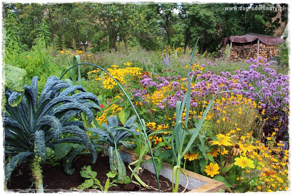 Anielskie ogrody 416 Anielskie ogrody 416