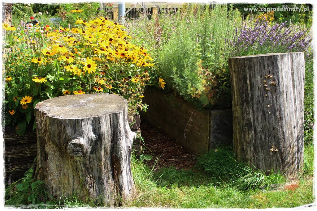 Anielskie ogrody 421 Anielskie ogrody 421