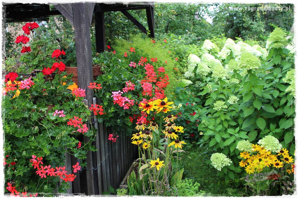 Anielskie ogrody 422 Anielskie ogrody 422