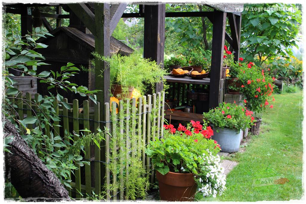 Anielskie ogrody 425 Anielskie ogrody 425