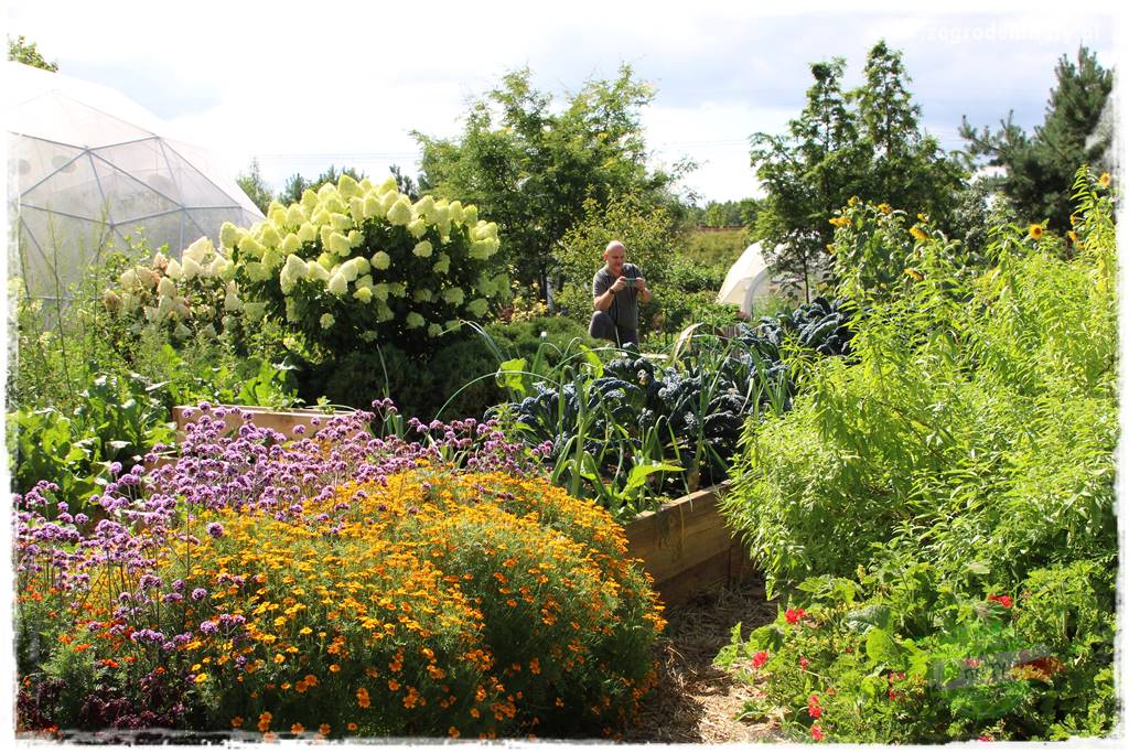 Anielskie ogrody 427 Anielskie ogrody 427