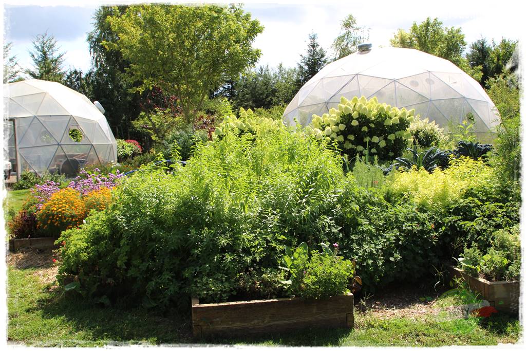 Anielskie ogrody 428 Anielskie ogrody 428