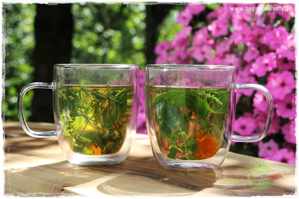 Anielskie ogrody 43 Anielskie ogrody 43