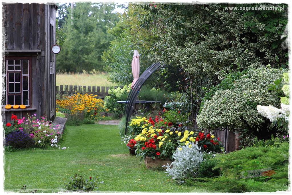 Anielskie ogrody 431 Anielskie ogrody 431