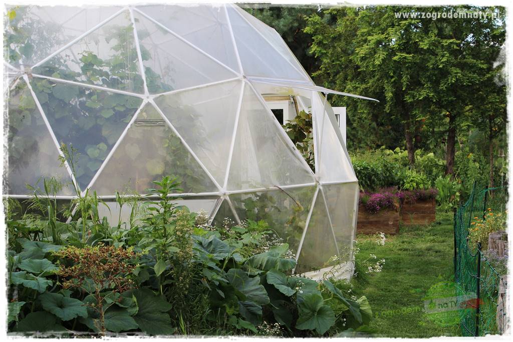 Anielskie ogrody 432 Anielskie ogrody 432