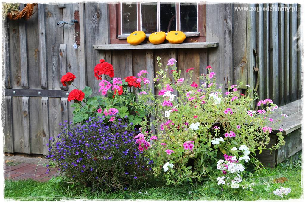 Anielskie ogrody 434 Anielskie ogrody 434