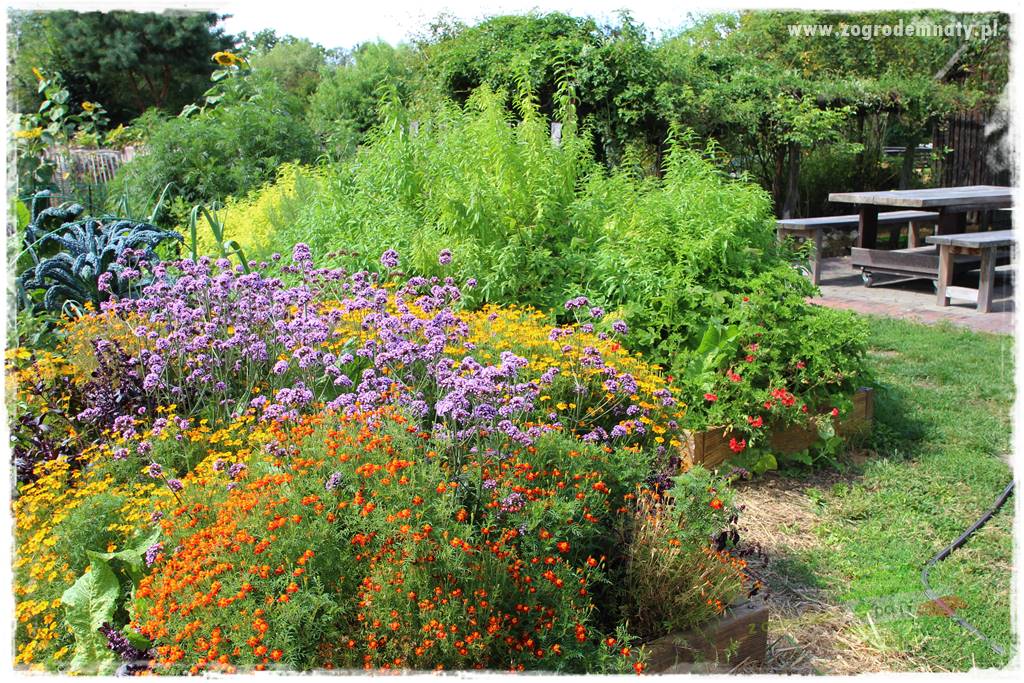 Anielskie ogrody 46 Anielskie ogrody 46