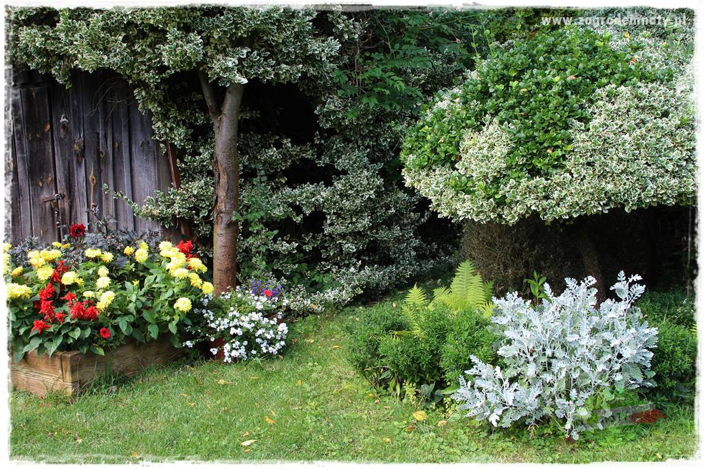 Anielskie ogrody 47 Anielskie ogrody 47