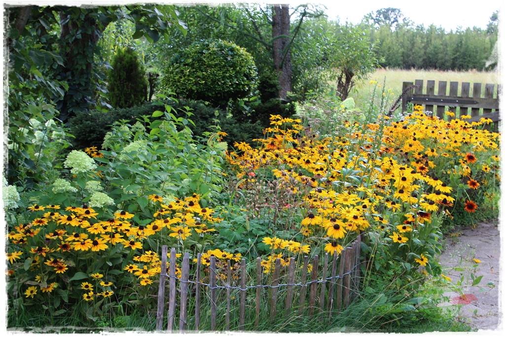 Anielskie ogrody 48 Anielskie ogrody 48