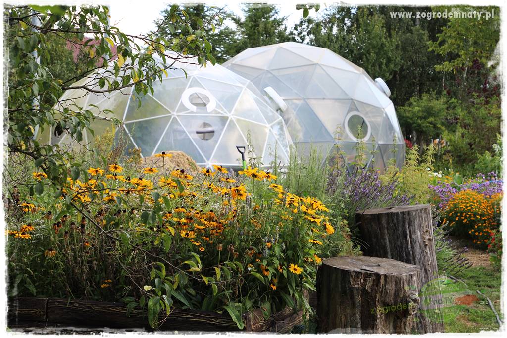 Anielskie ogrody 49 Anielskie ogrody 49