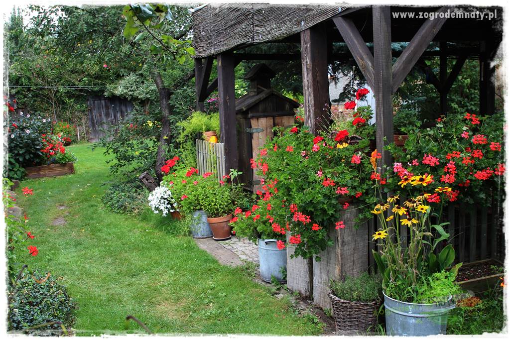 Anielskie ogrody 5 Anielskie ogrody 5