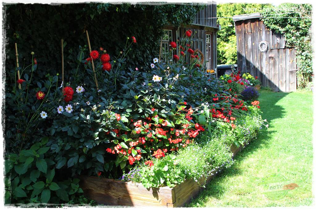 Anielskie ogrody 51 Anielskie ogrody 51