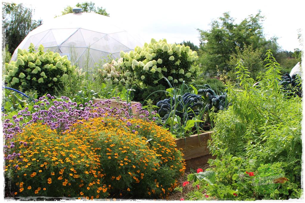 Anielskie ogrody 6 Anielskie ogrody 6