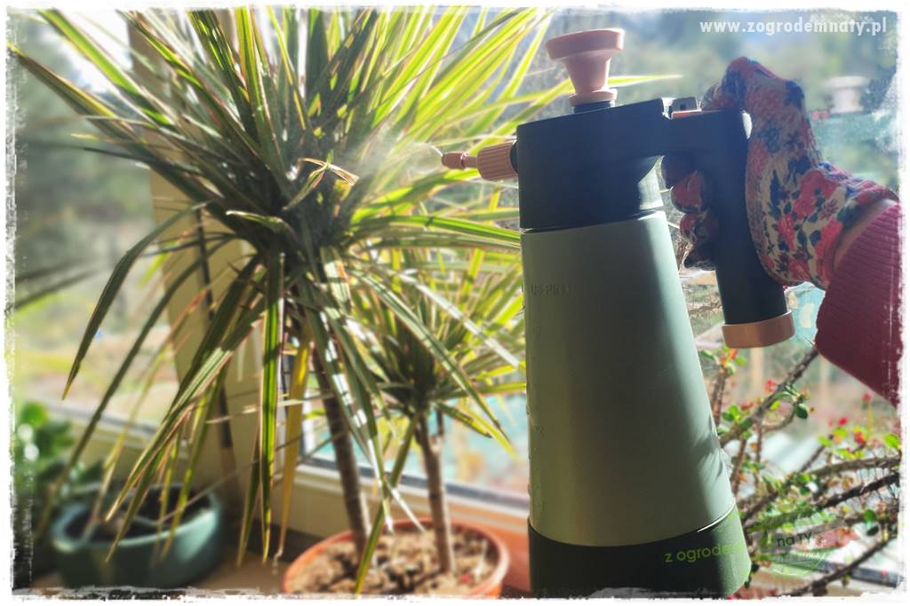 Jak zwalczyć mączliki 10