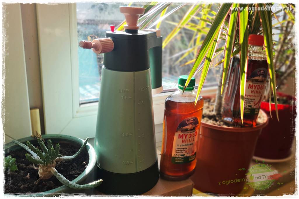 Jak zwalczyć mączliki 12 Jak zwalczyć mączliki 12