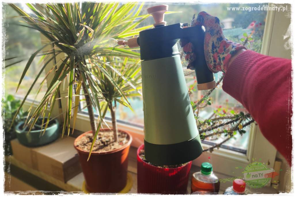 Jak zwalczyć mączliki 15