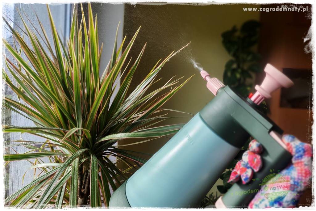 Jak zwalczyć mączliki 17