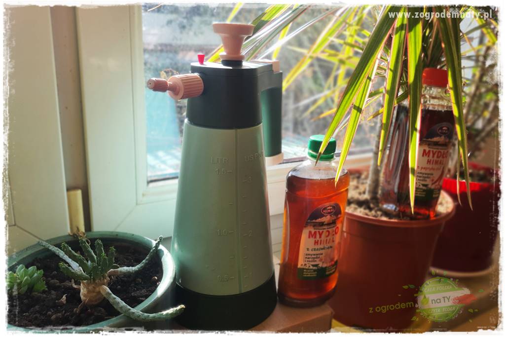 Jak zwalczyć mączliki 19